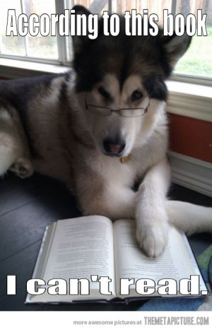 Funny photos funny dog glasses reading book husky