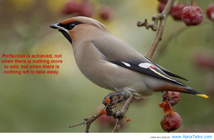 Perfection Is Achieved Not When There Is Nothing More To Add But When ...