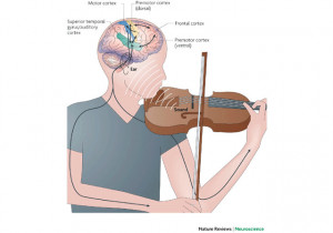 Music invokes ALL of the senses . It is physical, which helps the ...
