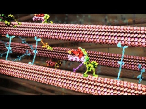 description funny poems youtube funny hen party invitations funny ...