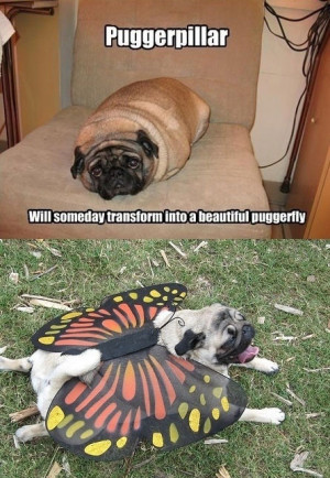 Friday, March 15, 2013