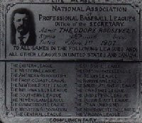 President Theodore Roosevelt Baseball Related Quotations