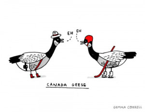 How Canadian geese say hello :D