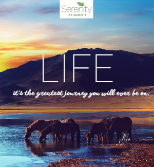 Life Is The Greatest Journey - SummitDetoxTreatment.com