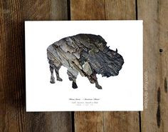 Bison Photography Print - Woodland Eco Home Decor, Wood Animal ...