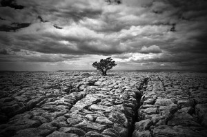 ... Bookclub: Nominations CLOSED! Theme: ISOLATION (showing 1-37 of 37