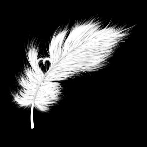 Tattoo design: Feather by i-r-annet