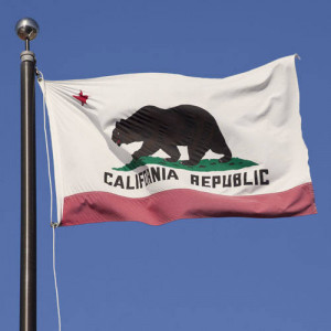 California State Bear Flag...