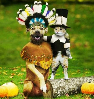 Funny Dog Costume Thanksgiving Pilgrim Picture