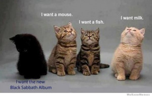 What black cats really think about.