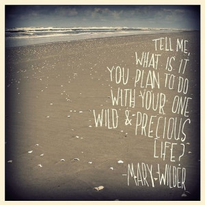 it s mary oliver not wilder but this is still my favorite quote