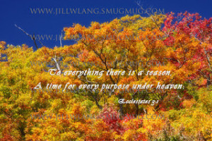 Autumn quotes, life quotes, halloween quotes, love quotes, autumn ...