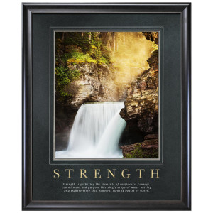 Service Waterfall Framed Signature Motivational Poster (700367)