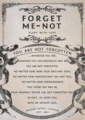 President Dieter F. Uchtdorf - Forget Me Not seed packet