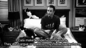 funny quotes beautiful true TV cats sheldon cooper Big Bang Theory
