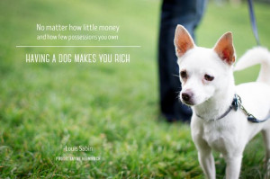 Having a dog makes you rich, even if you have nothing else.(Photo ...