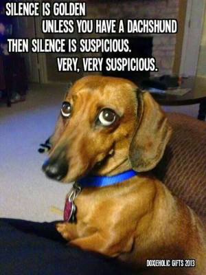 Dachshund Dog Silence Golden Meme Joke Picture = Silence is golden ...
