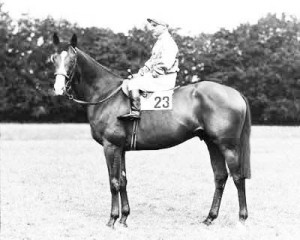Pinza with Gordon Richards Horse racing Photograph 059 07