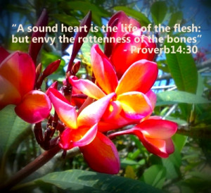 ... to keep what one has and envy the wish to get what one does not have