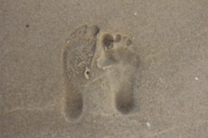 Thursday, October 13, 2011