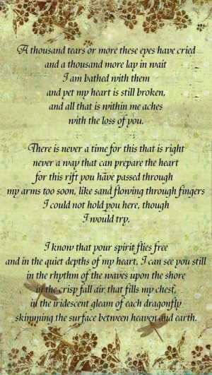 Miscarriage Poems - Dragonfly