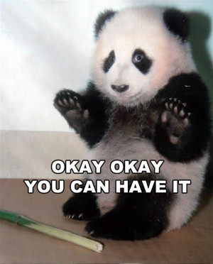 Related Panda – Okay Okay You Can Have It