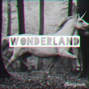 wonderland | Tumblr