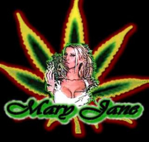 to high quotes marijuana high quotes marijuana marijuana high quotes ...