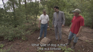 Borat Wonders What Kind Of Tortoise Dog This Is