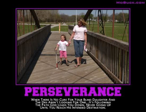 Perseverance Image