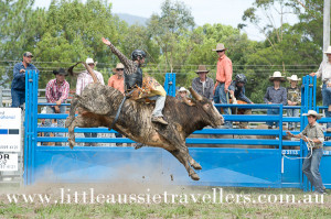Cute Barrel Racing Quotes