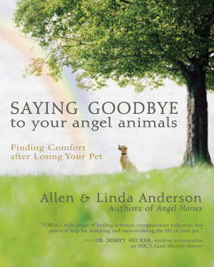 Book offers comfort, guidance to help mourn beloved companion animals