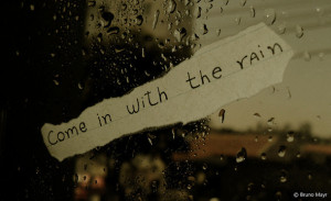 cute, lights, love, photography, quote, quoted, rain, taylor swift ...