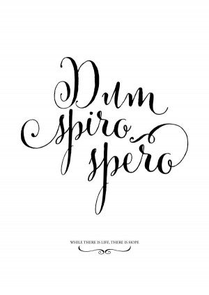 Latin quote: Dum spiro, spero / Where there's life, there's hope is ...