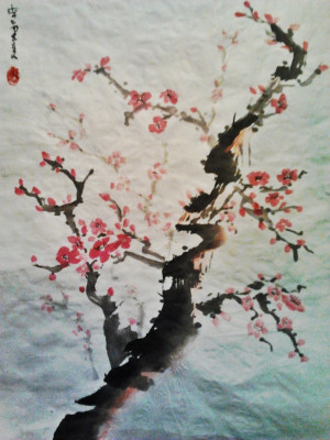Japanese Cherry Blossom