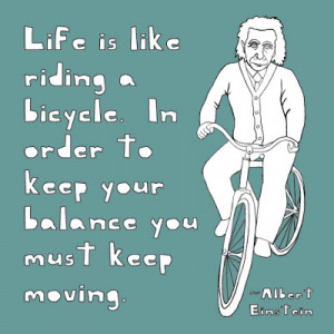 albert einstein quote albert einstein quote e mc2 cat on