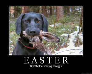 Easter Bunny funny