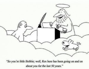 Our furry friends meet us in Heaven
