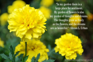 In my garden there is a large place for sentiment. My garden of ...