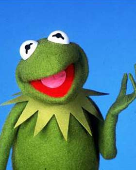 Caribbean News: [Frog Chronicles] Kermit The Frog Takes Over Social ...