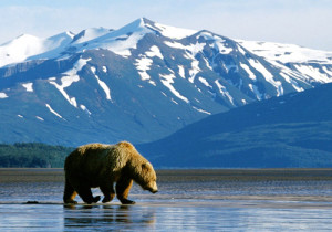 Cutting Drilling Arctic Refuge Quotes About