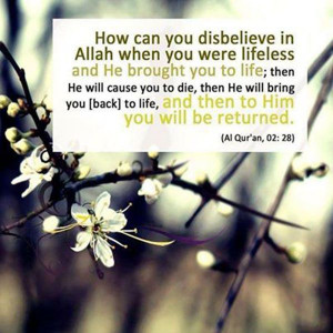 How can you disbelieve... Quotes #Daily #Famous #Inspiration #Friends ...