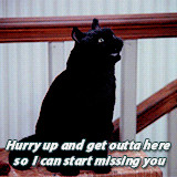 ... mg Sabrina the teenage witch Salem Saberhagen salem salem the cat