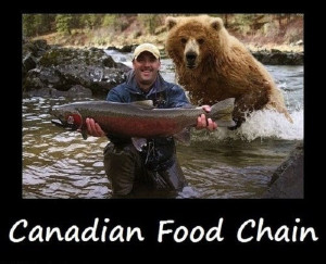 The Canadian food chain summed up in one photo!