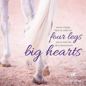 Four legs and big hearts