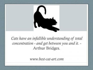 Famous Cat Quotations Graphical Style