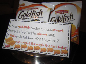 Friday ~ Social Studies Test ~ Mini Oreos