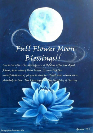 full Flower Moon blessing- meditate on the 'seeds' you planted with ...