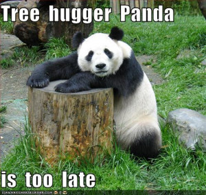 funny-pictures-tree-hugger-pandag.jpg