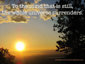 To the mind that is still, the whole universe surrenders. - Lao Tzu